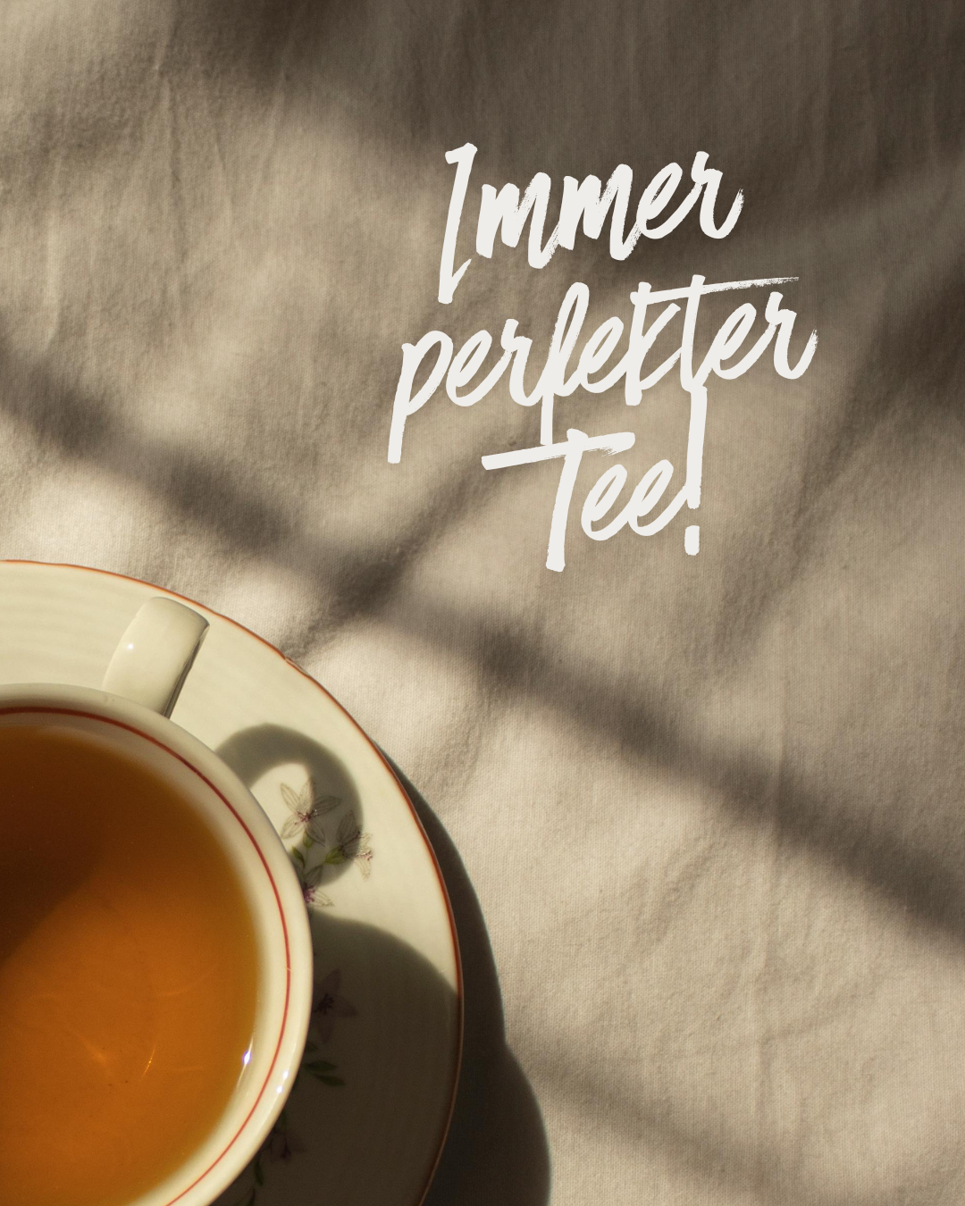 Die perfekte Ziehzeit für jeden Tee