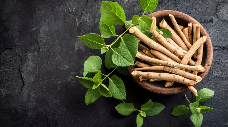 Ashwagandha: Ein kraftvolles Adaptogen und seine möglichen Nebenwirkungen