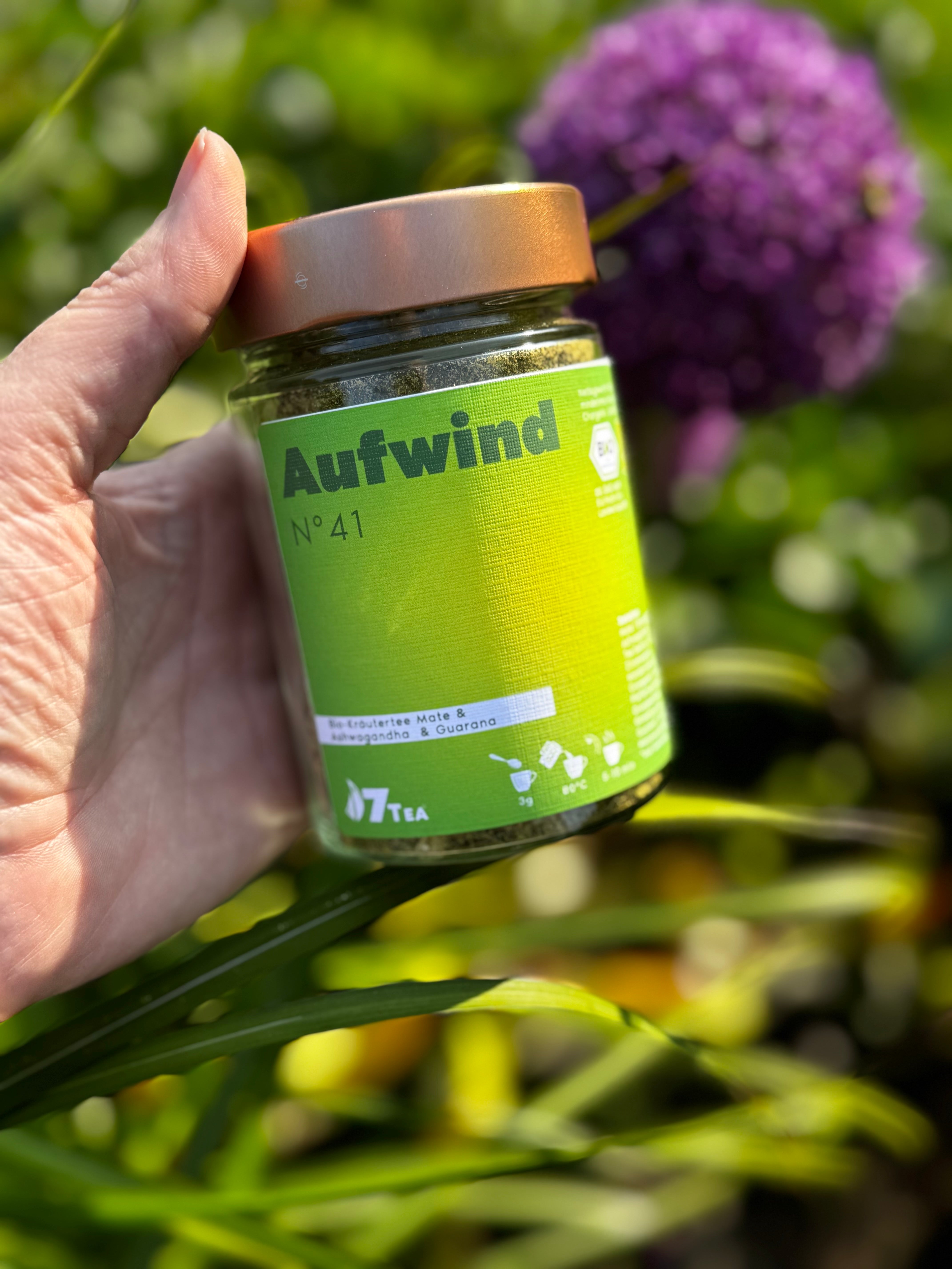 N°41 | Aufwind - Bio